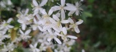 Enlarge photo 116