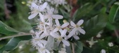 Enlarge photo 113