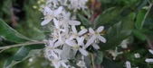 Enlarge photo 112
