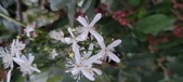 Enlarge photo 110