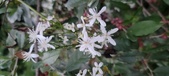 Enlarge photo 109