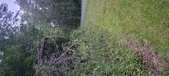 Enlarge photo 103