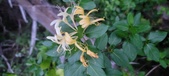 Enlarge photo 108