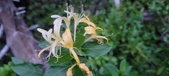Enlarge photo 107