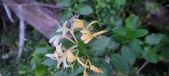 Enlarge photo 105