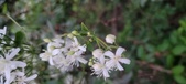 Enlarge photo 102