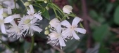 Enlarge photo 98