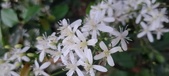 Enlarge photo 95