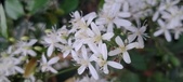 Enlarge photo 94