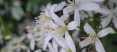 Enlarge photo 93