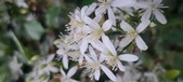Enlarge photo 92