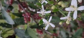 Enlarge photo 90