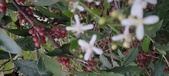 Enlarge photo 89