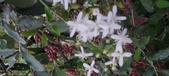 Enlarge photo 88