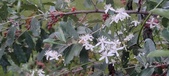 Enlarge photo 87