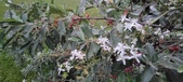 Enlarge photo 86