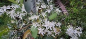 Enlarge photo 85