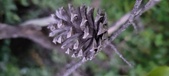 Enlarge photo 84