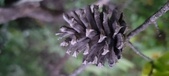 Enlarge photo 82