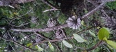 Enlarge photo 80