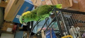 Enlarge photo 44