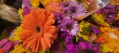 Enlarge photo 33