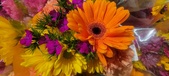 Enlarge photo 31