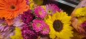 Enlarge photo 30