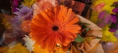 Enlarge photo 29