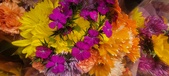 Enlarge photo 28
