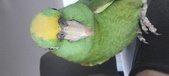 Enlarge photo 19