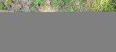 Enlarge photo 148