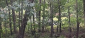 Enlarge photo 166