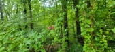 Enlarge photo 169