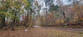 Enlarge photo 127