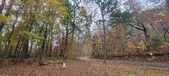 Enlarge photo 112