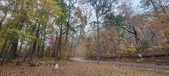 Enlarge photo 114