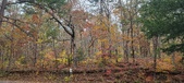 Enlarge photo 111