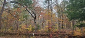 Enlarge photo 122