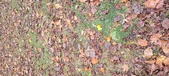 Enlarge photo 144