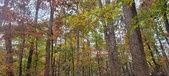 Enlarge photo 141
