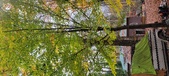 Enlarge photo 134