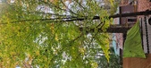 Enlarge photo 138