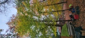 Enlarge photo 121