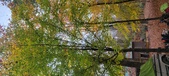 Enlarge photo 126