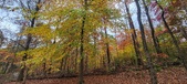 Enlarge photo 149