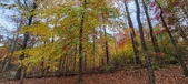 Enlarge photo 146