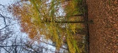 Enlarge photo 142