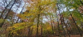 Enlarge photo 143