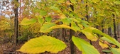 Enlarge photo 131